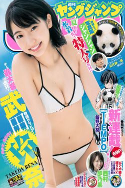 私藏浪漫电视剧1-40集完整版合集